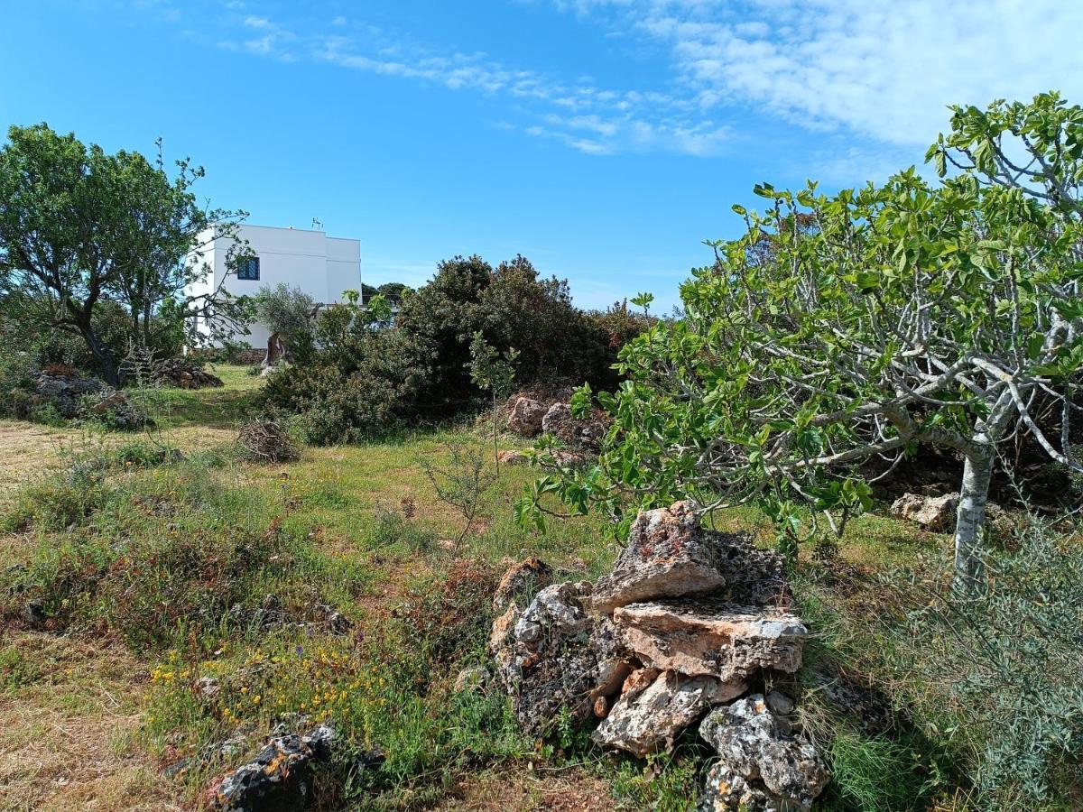 Il Cocciolo Holiday home *