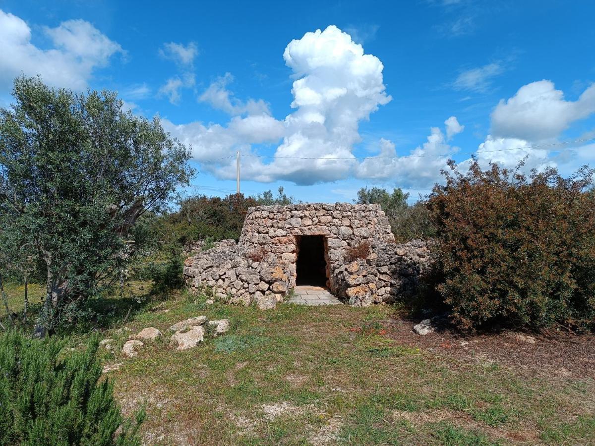 Il Cocciolo Holiday home