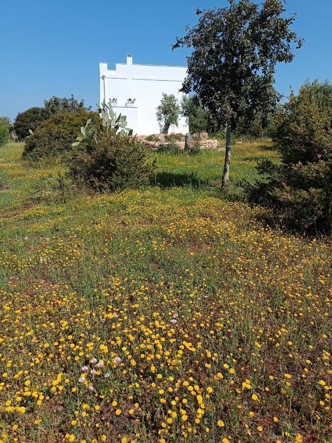 Holiday home Il Cocciolo *