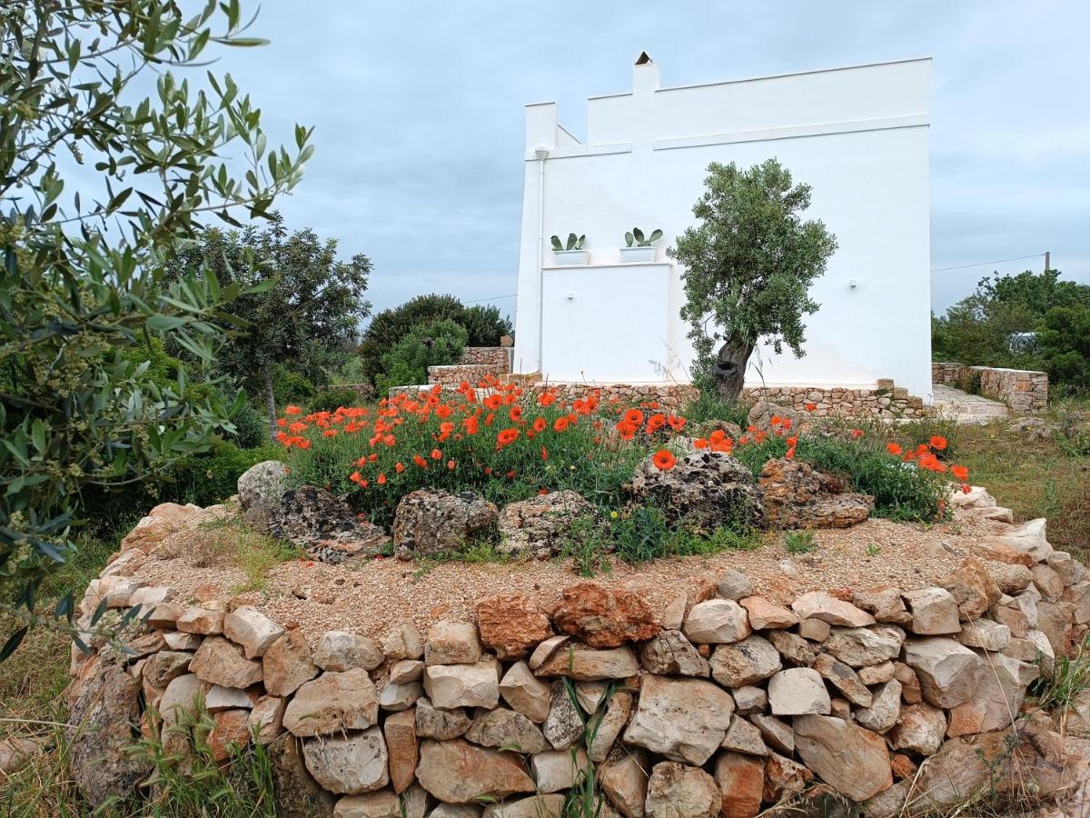 Holiday home Il Cocciolo *