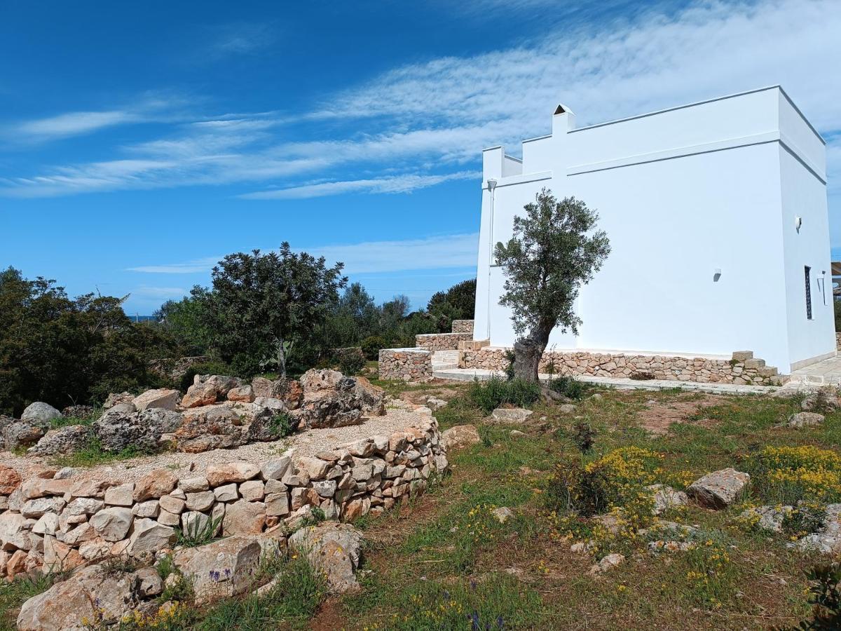 Ferienhaus Il Cocciolo