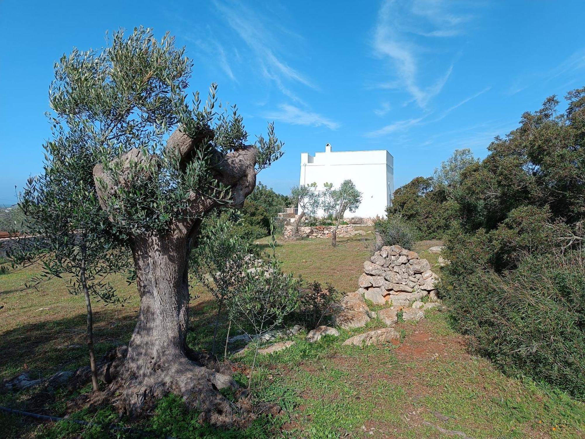 Ferienhaus Il Cocciolo
